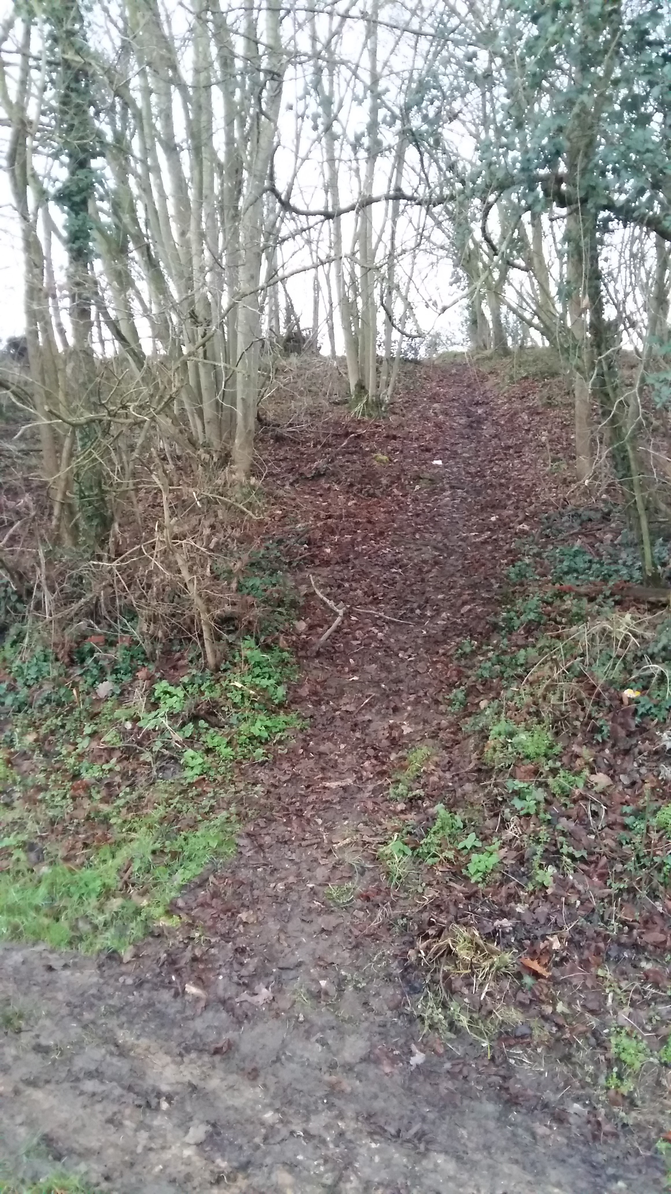 Avant de commencer l'escalier